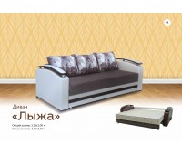 Лыжа